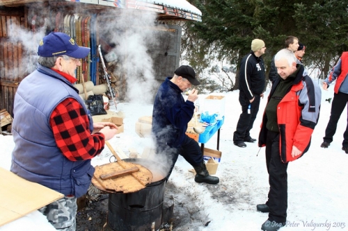 Lyžiarsky karneval 2013