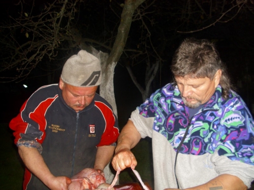 Domáca Zabíjačka 2013