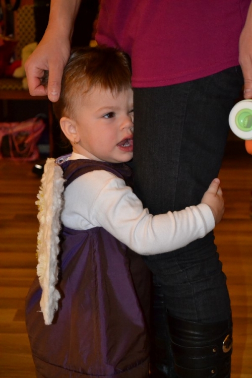 Karneval v meste 2014