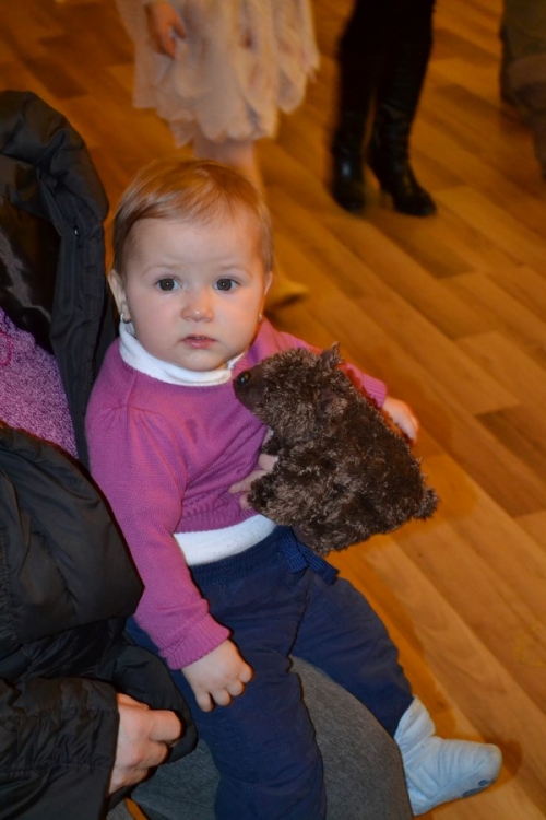 Karneval v meste 2014