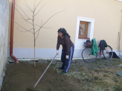 Dôchodcovia za čisté mesto