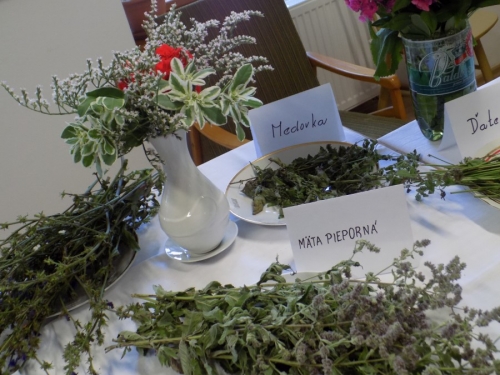 Výstava liečivých bylín 2015