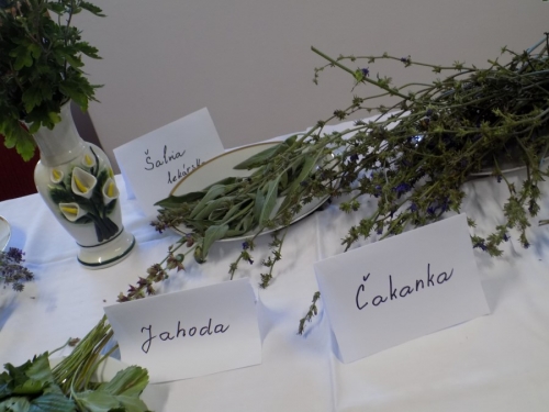 Výstava liečivých bylín 2015