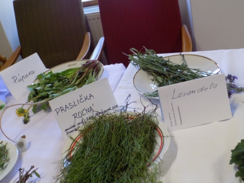 Výstava liečivých bylín 2015