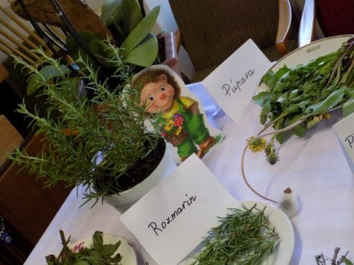 Výstava liečivých bylín 2015