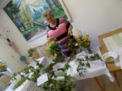 Výstava liečivých bylín 2015
