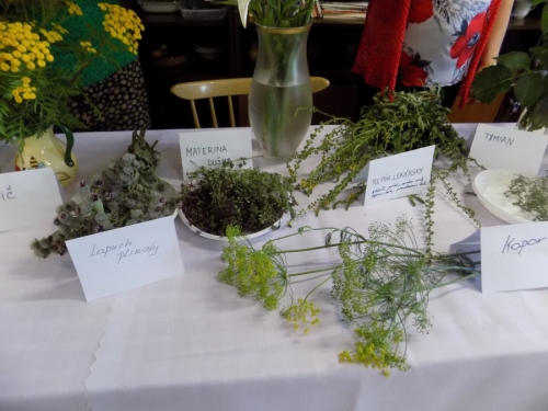 Výstava liečivých bylín 2015