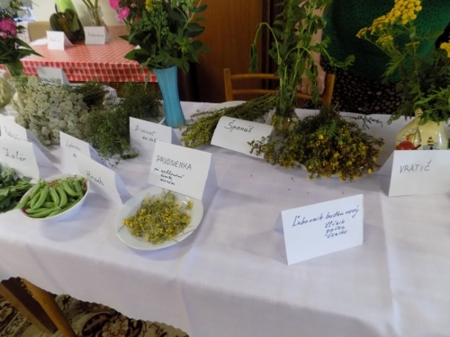 Výstava liečivých bylín 2015