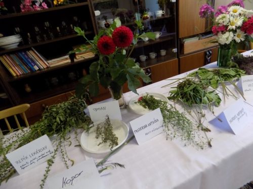 Výstava liečivých bylín 2015