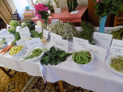 Výstava liečivých bylín 2015