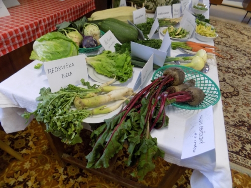 Výstava liečivých bylín 2015
