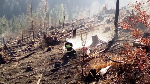 Hasenie požiaru lesa nad obcou Ihľany