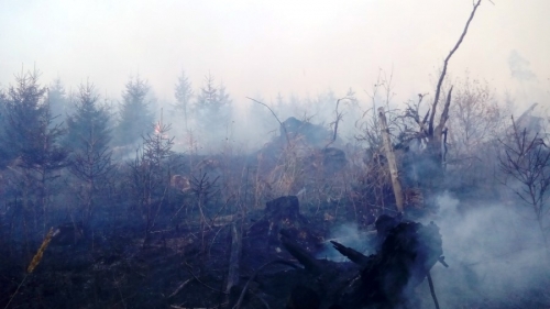 Hasenie požiaru lesa nad obcou Ihľany