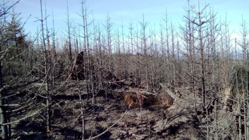 Hasenie požiaru lesa nad obcou Ihľany