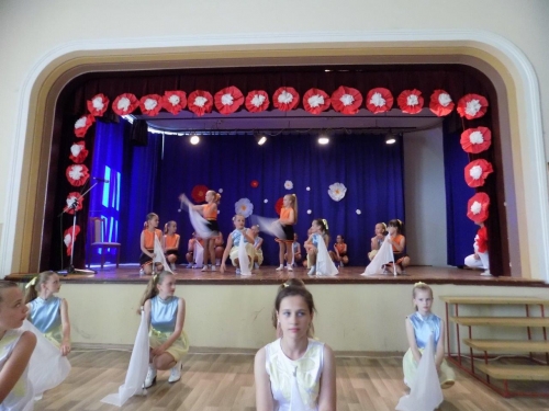 201805161518060.dscn5482