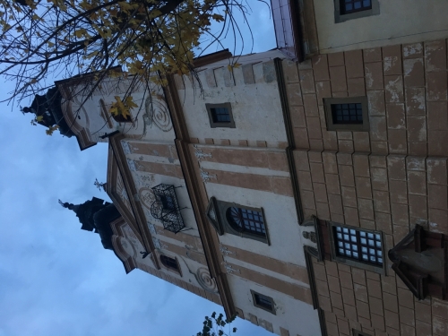 201810291113020.img-3837