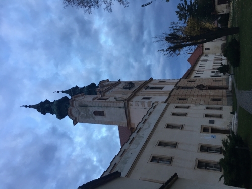 201810291113150.img-3819