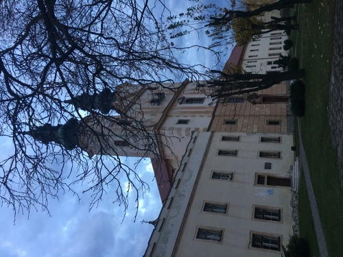 201810291113150.img-3820