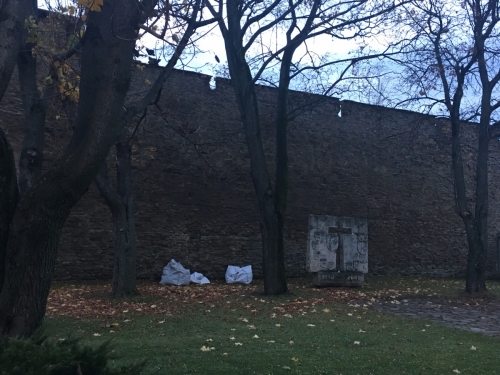 201810291113150.img-3843