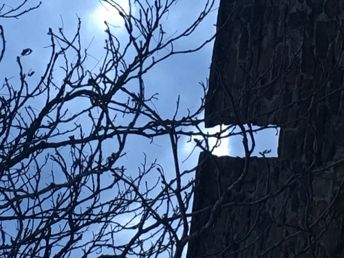 201902211418110.img-3847