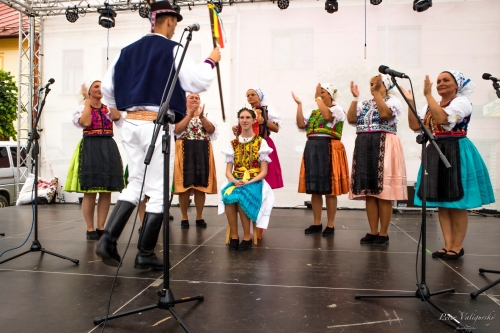 201909200810370.podolinec-jarmok-2019-370