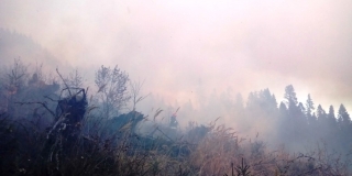 Hasenie požiaru lesa nad obcou Ihľany