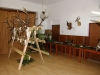 výstava trofejí
