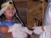 Vianoce 2008