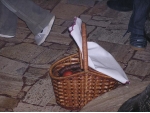 Veľkonočná nedeľa