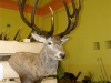 Hubert 2011