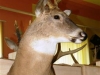 Hubert 2011