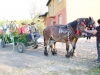 Stavanie mája 2012