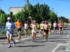 vii-visegrad-maraton-2012