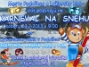 Karneval na snehu 2013 - plagátik