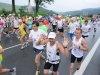 visegrad-maraton-2013