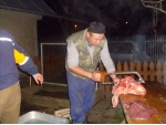 Domáca Zabíjačka 2013