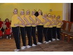 Karneval v meste 2014