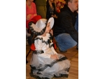 Karneval v meste 2014