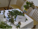 Výstava liečivých bylín 2015