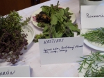 Výstava liečivých bylín 2015