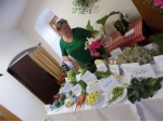 Výstava liečivých bylín 2015