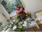 Výstava liečivých bylín 2015