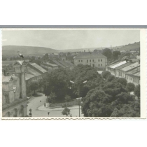 V pozadí mestský dom