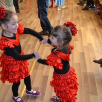 Fotografia:   KARNEVAL  11.2.2017  