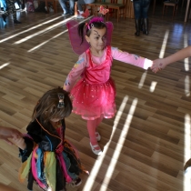Fotografia:   KARNEVAL  11.2.2017  